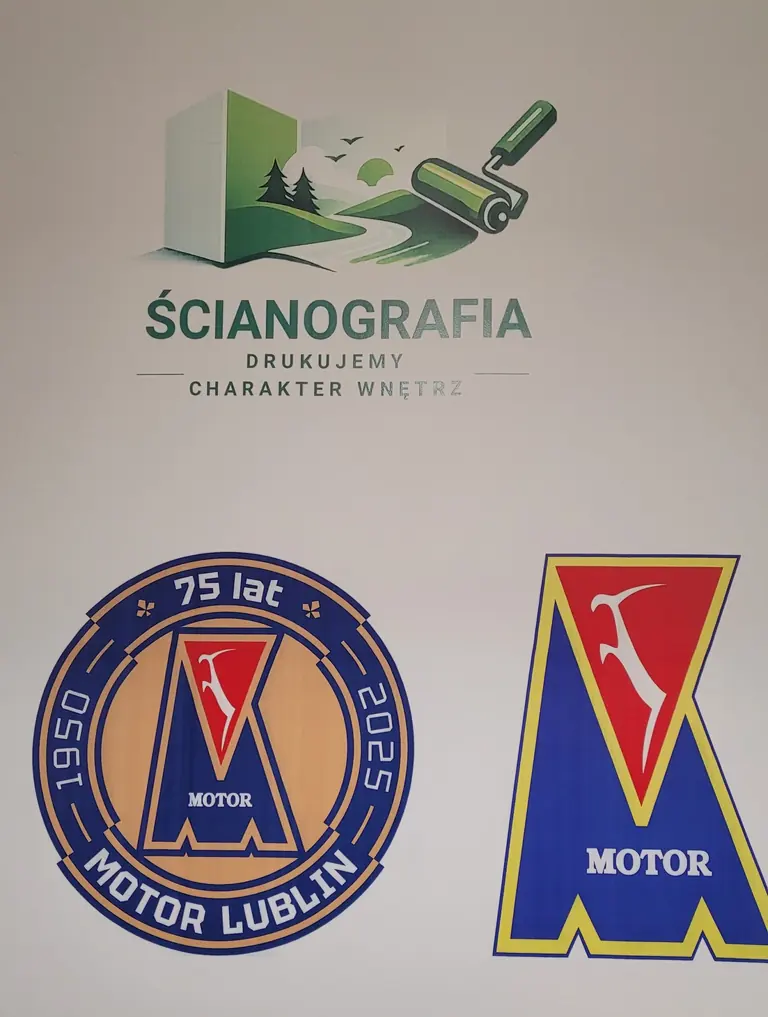 Rzeczywista realizacja Ścianografii — Logotypy i identyfikacja