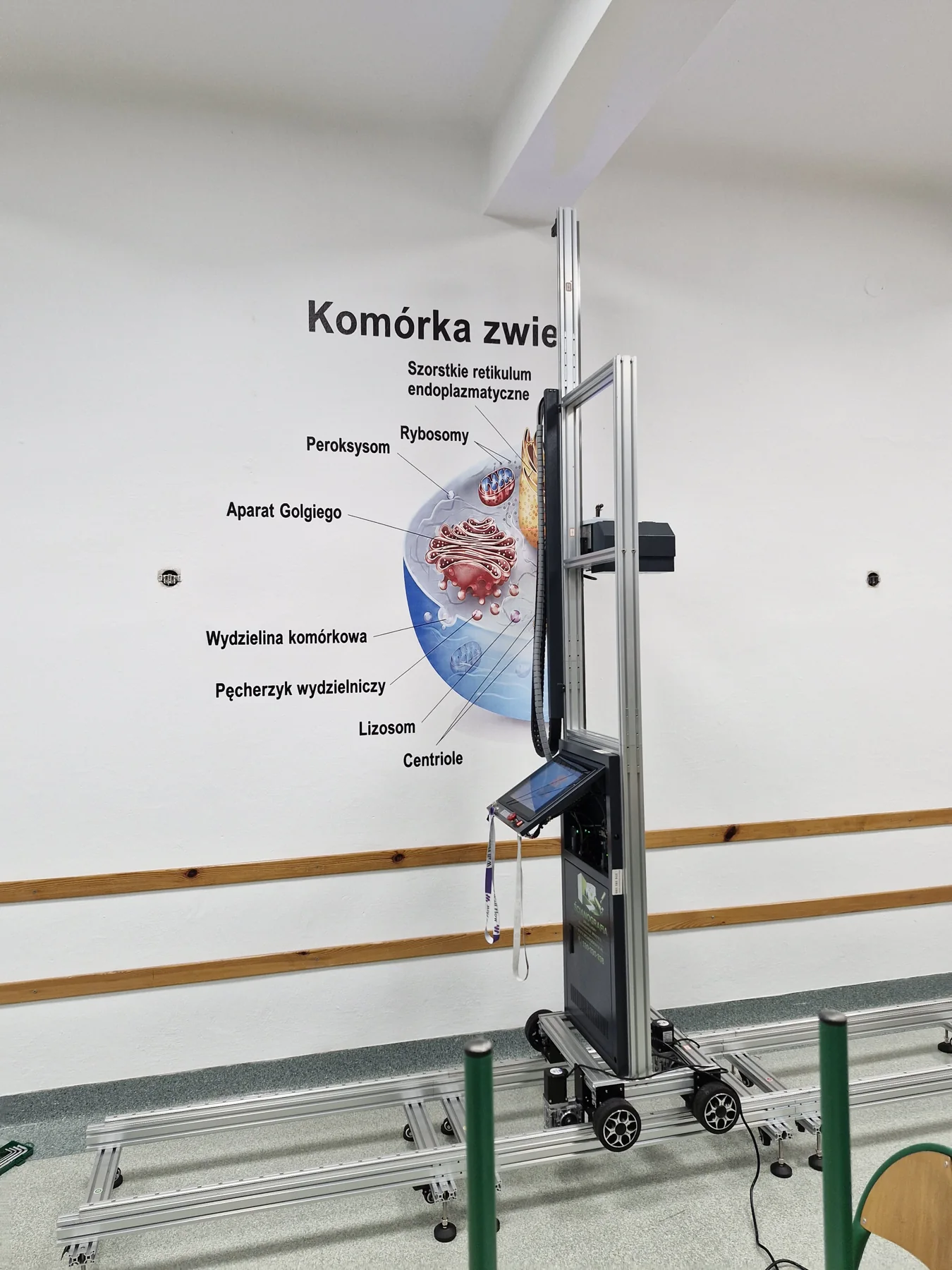 Druk muralu z komórką zwierzęcą i podpisami w Technikum Leśnym w Biłgoraju