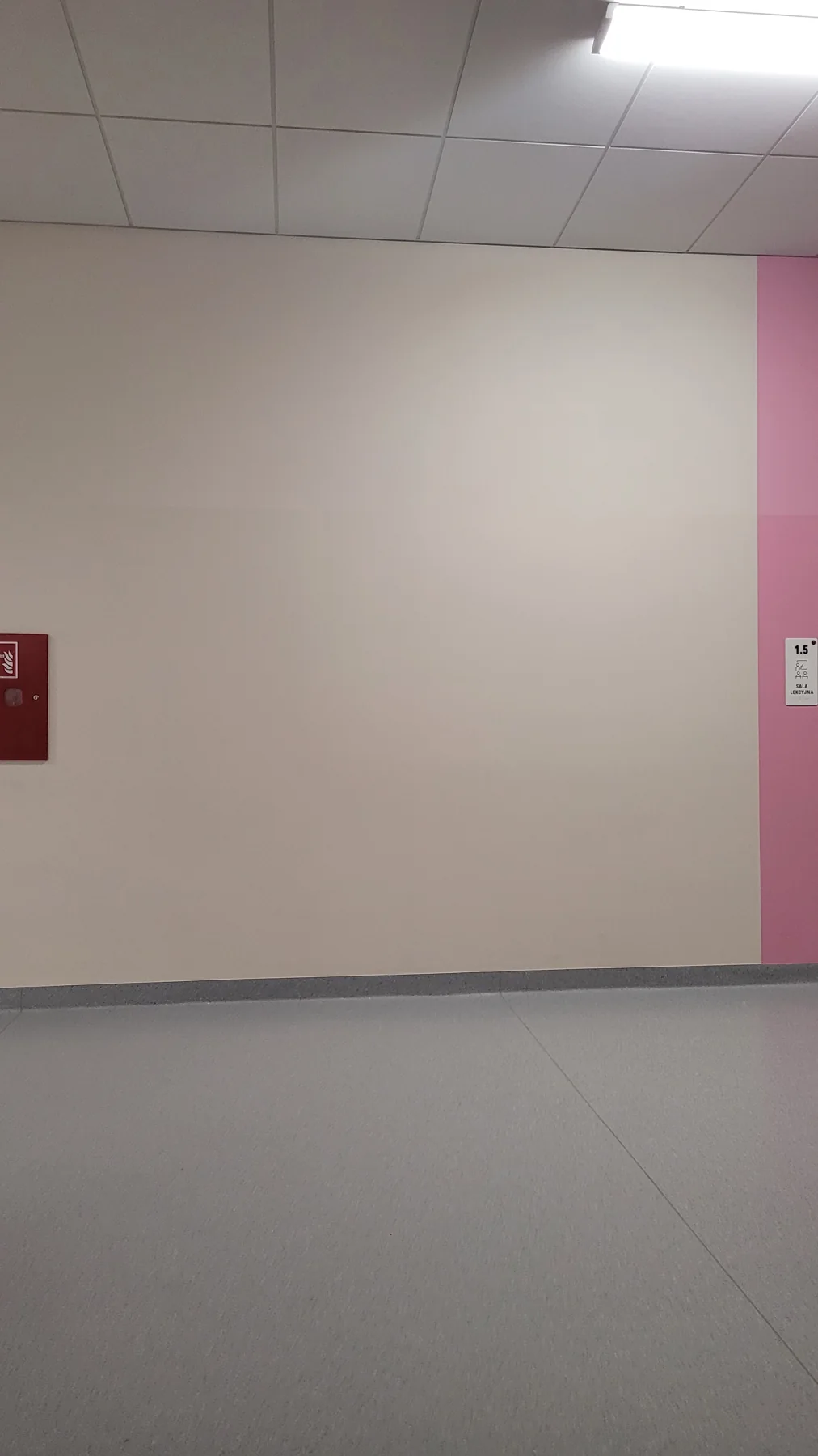 Pusta ściana przy sali lekcyjnej 1.5, obok różowego fragmentu korytarza, przed nadrukiem Książka i kosmos w Kłoczewie